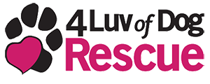 4 Luv Of Dog Rescue Fargo ND | Fargo Bites